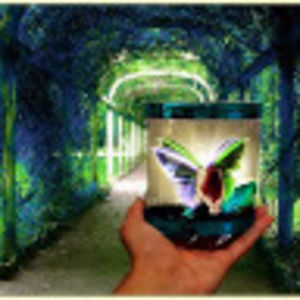 Meet your Posher, Hazel